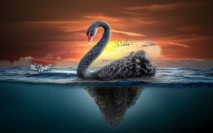 amazing pictures