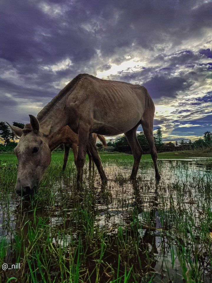 নদীর পার