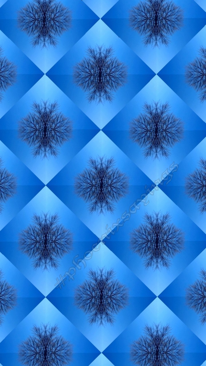 Blue sky and tree branches kaleidoscope print