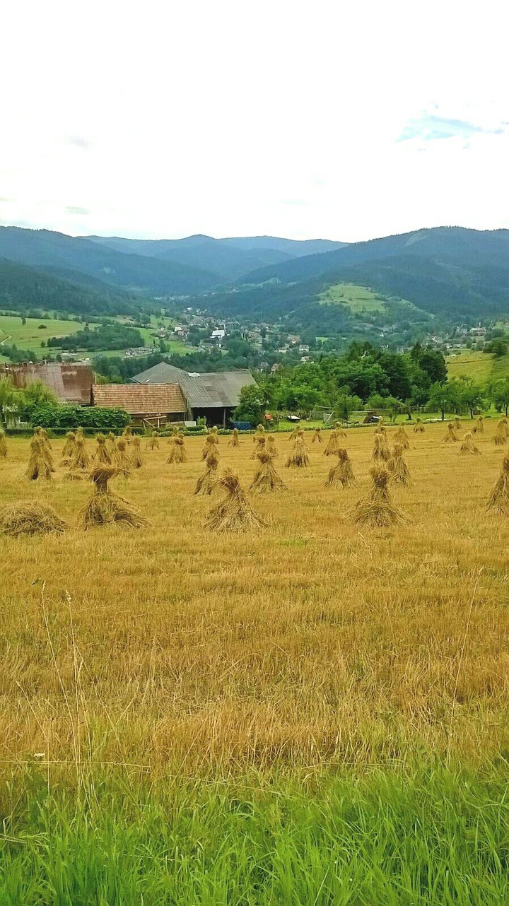 krajobraz_góry