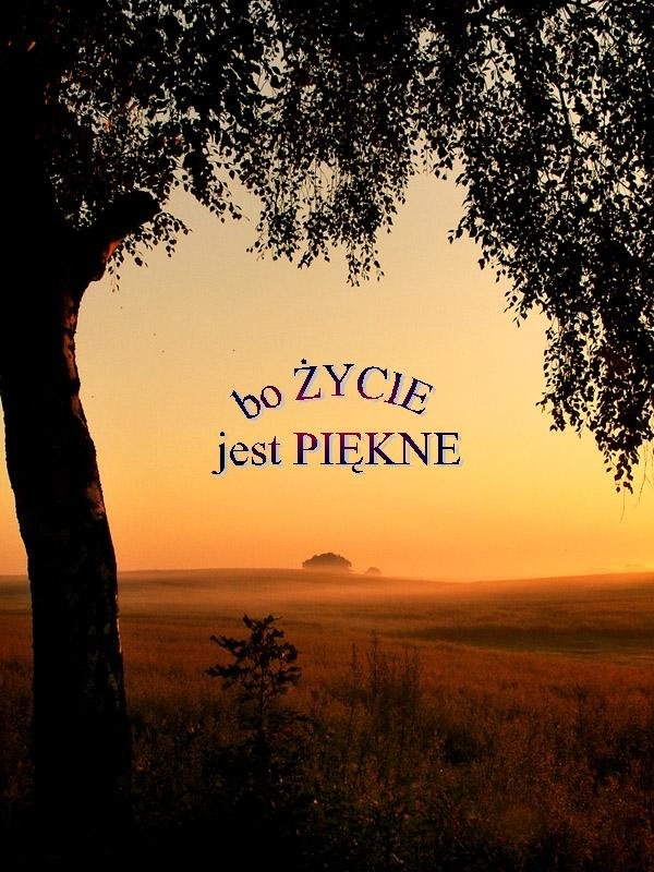 bo życie jest piękne