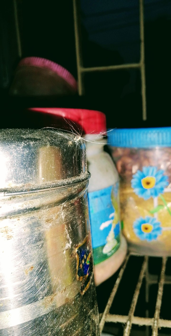tiffin