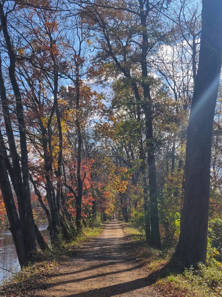road less travelled