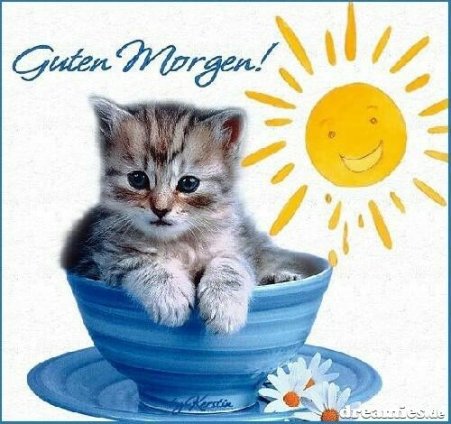 Guten morgen
