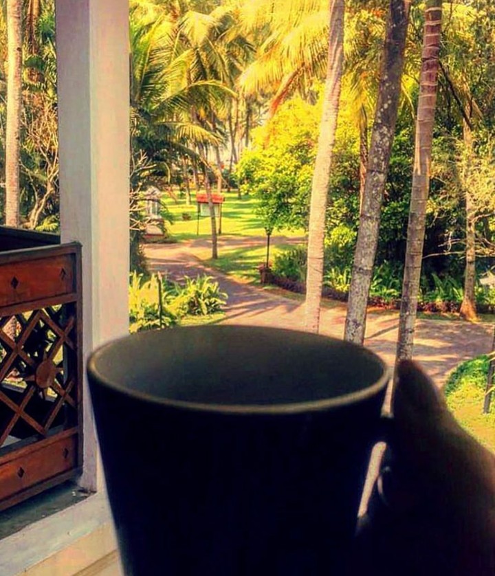 Soothing Morning♥️