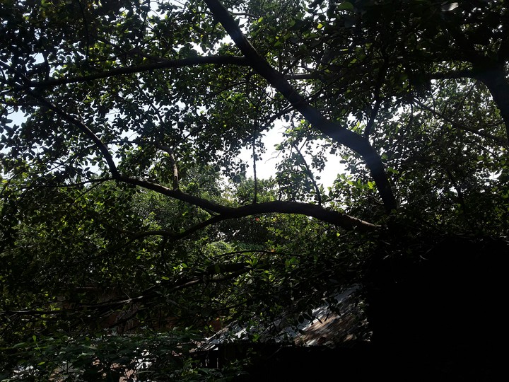 Lost  ¡~¡