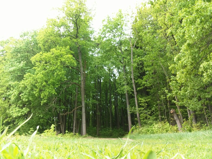 парк