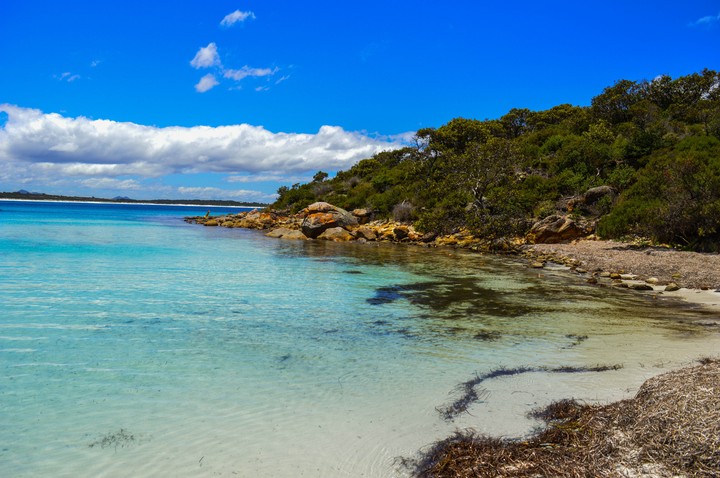 Paradise Bay