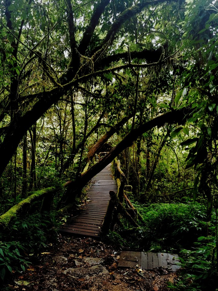 nature