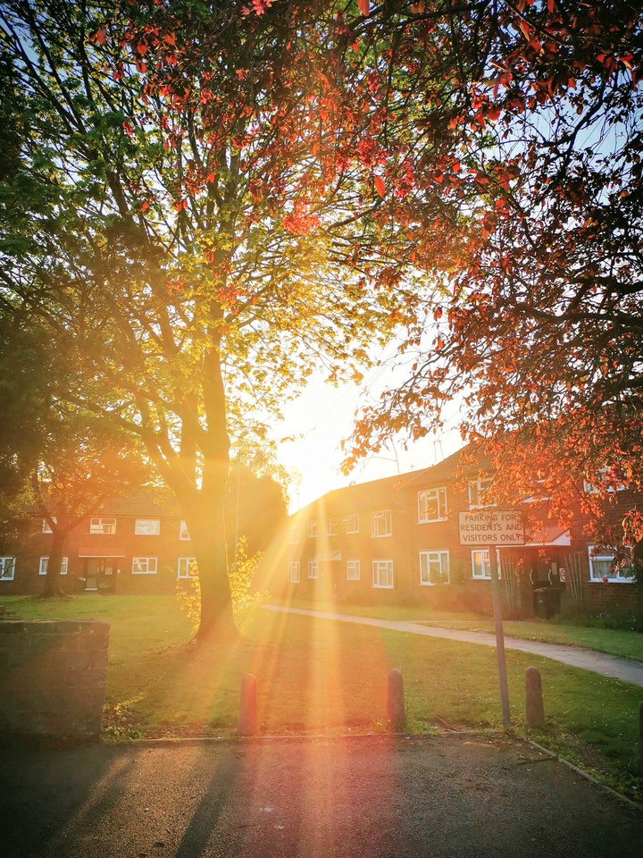 sunshine