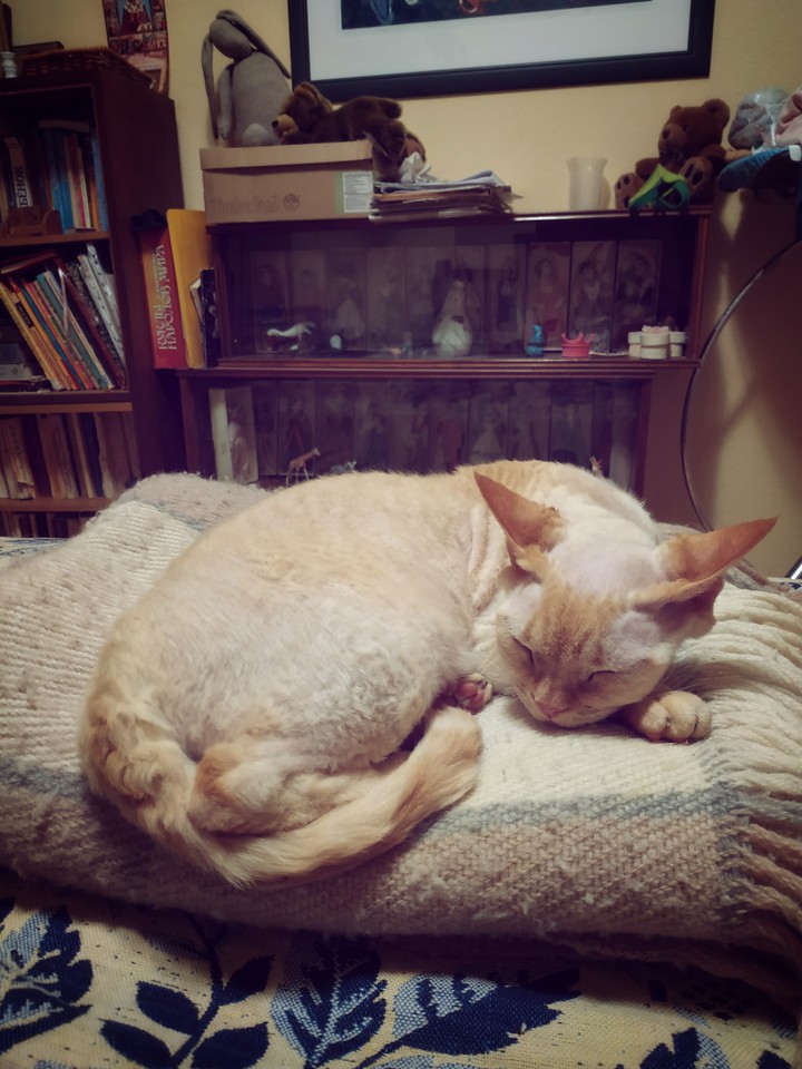 zzz