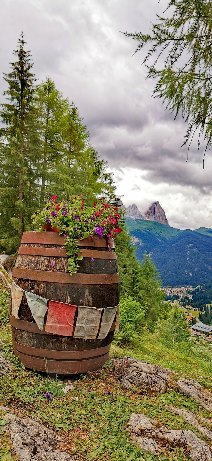 Trentino