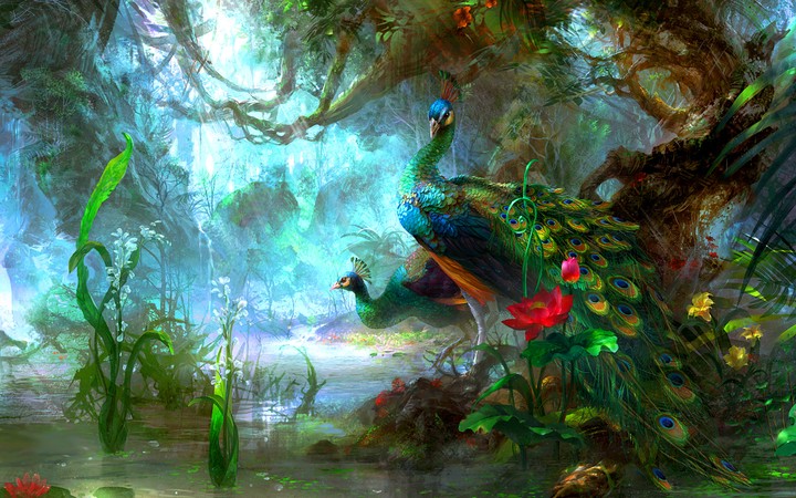 beautiful peacock