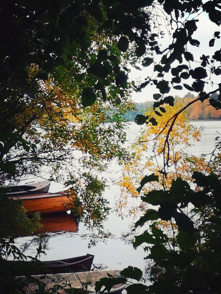 Perfect autum