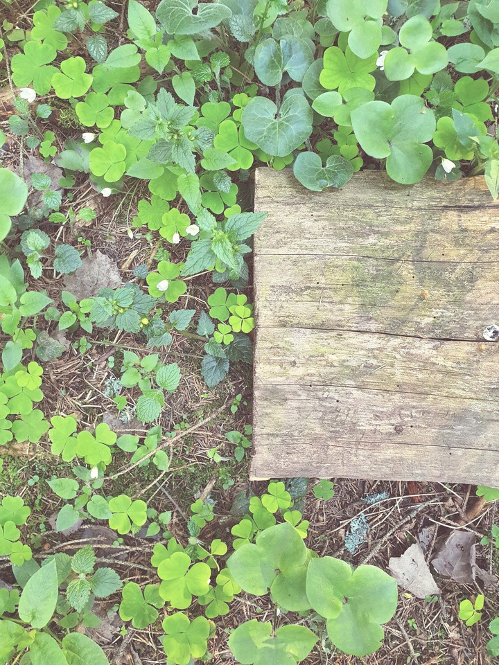 just a ground