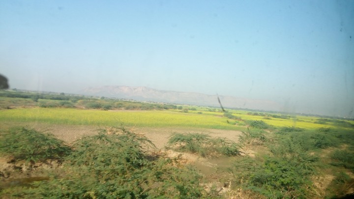 way to jaipur