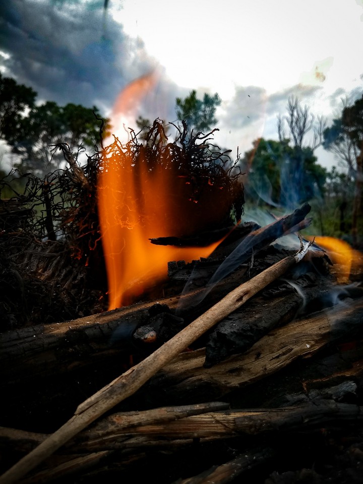 flame ...