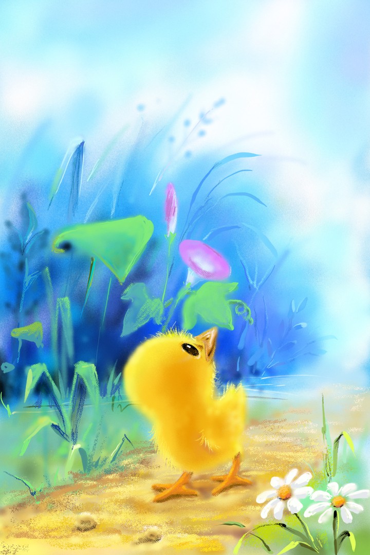 병아리 chick