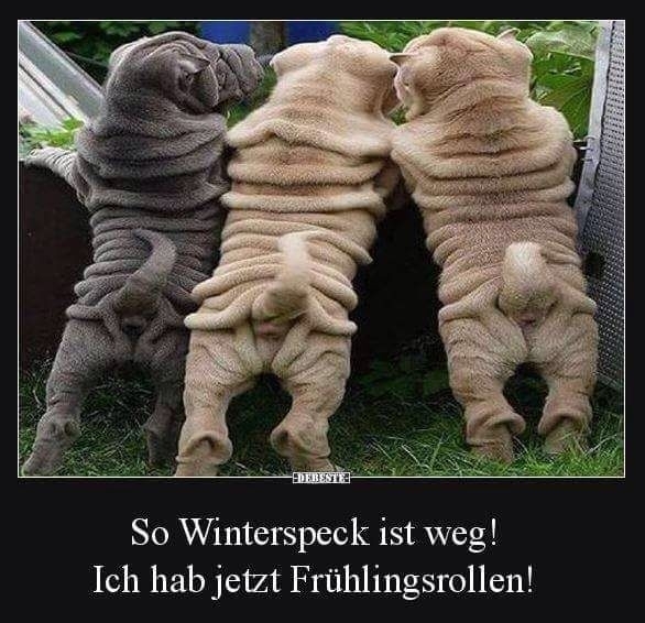 Ich.