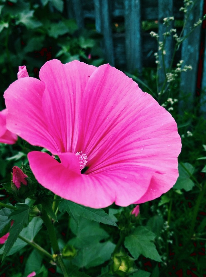 beatiful