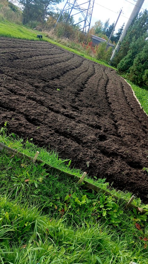 Groundcover, Compost, Farm
