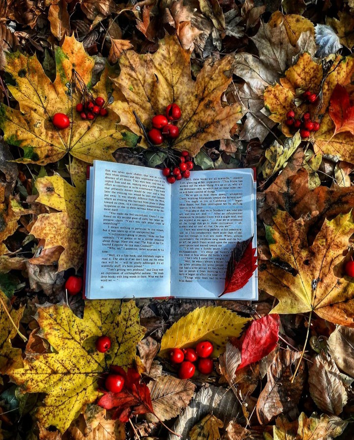 autumn