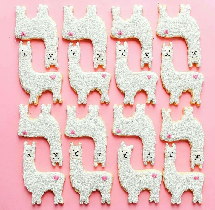 Llamas!!