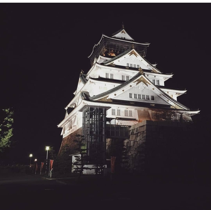 The Osaka Castle by Hideyoshi, The Dream of Japan