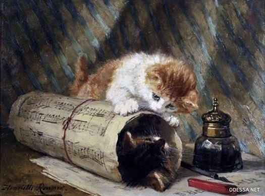 cats
