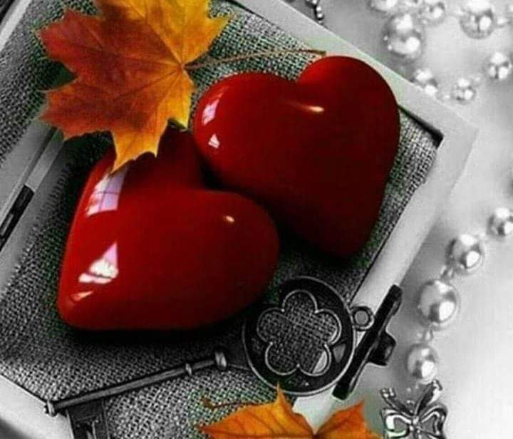 feuilles et clé⭐⭐⭐