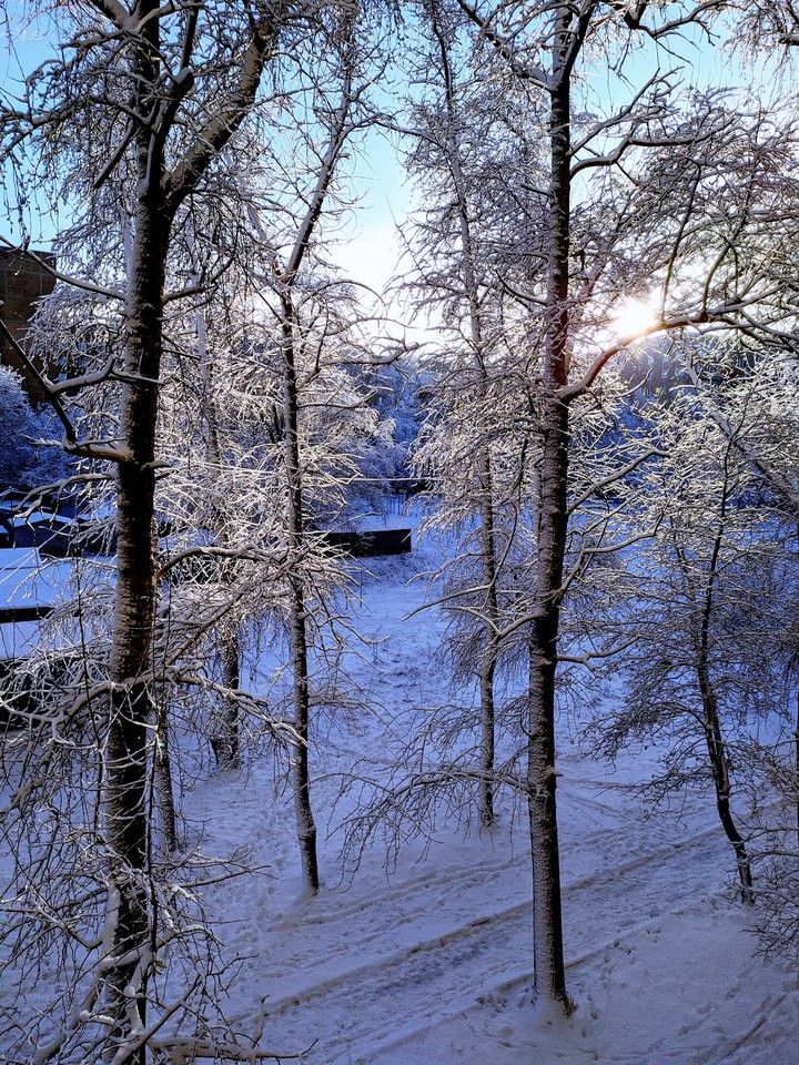 winter