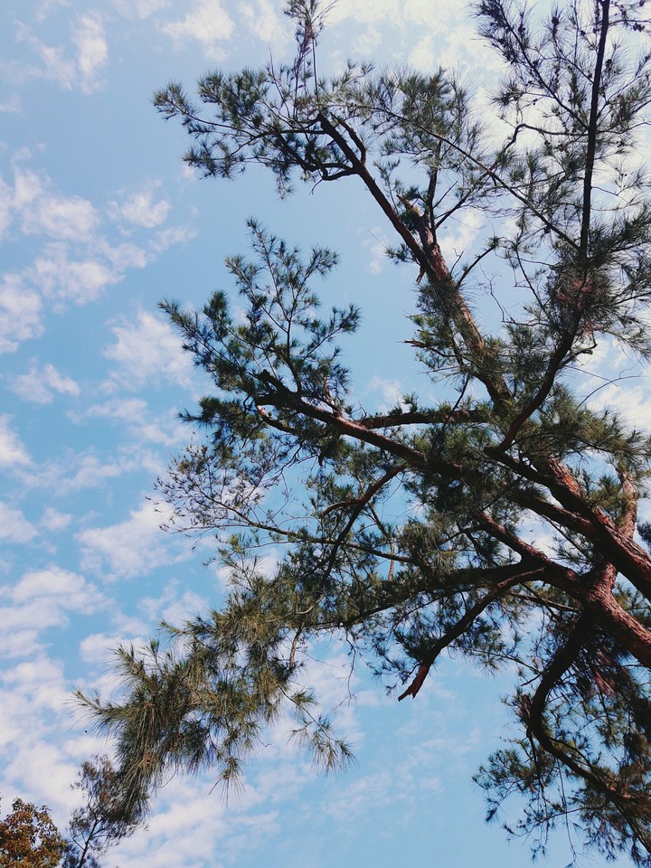 sky