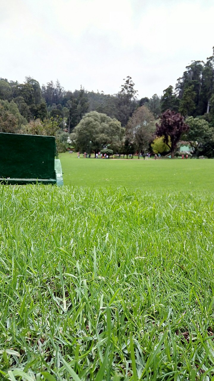 park