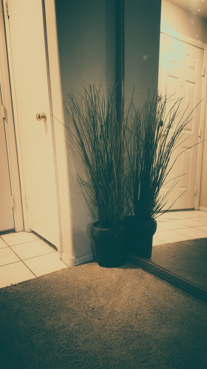 Planting Fade