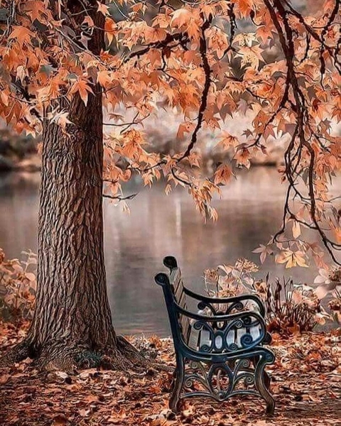 sfondi tree, twig