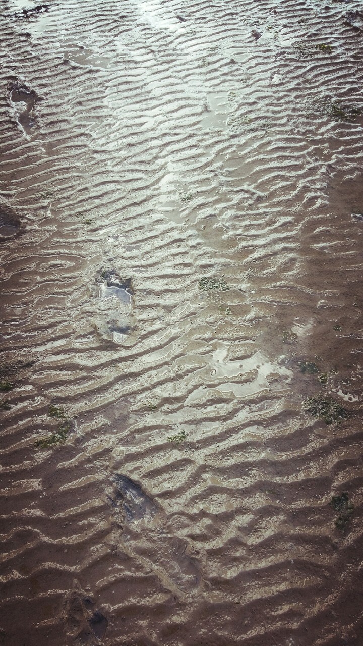 footprint