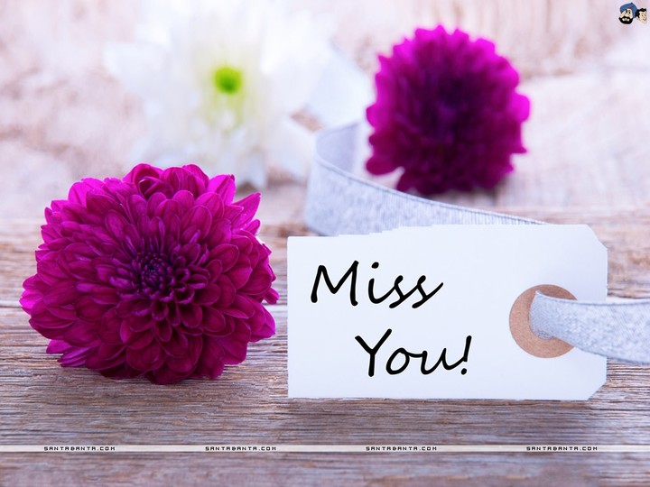 miss you