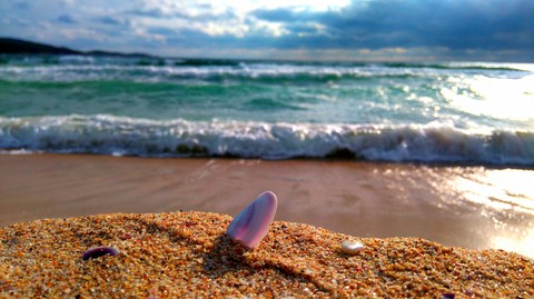Beach