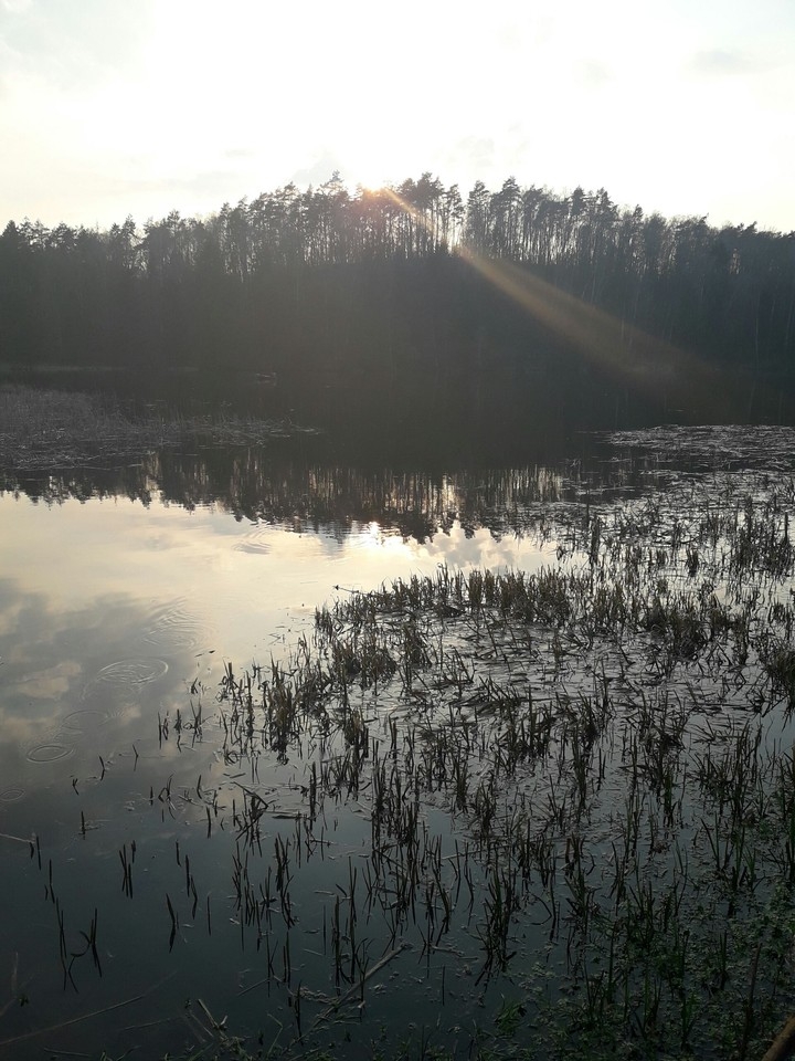 Beautiful Lake