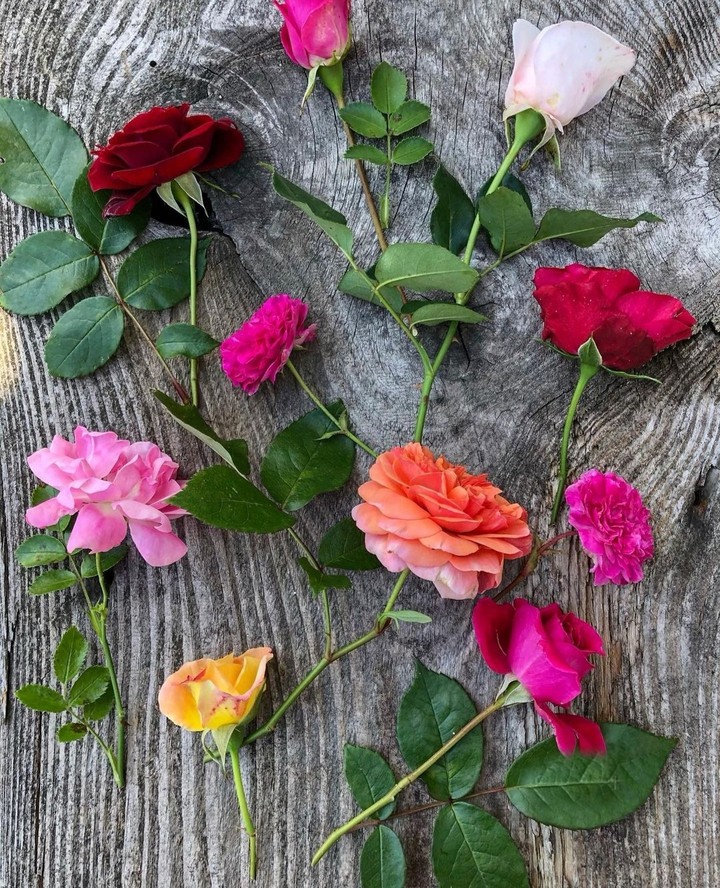 beautiful flowers...