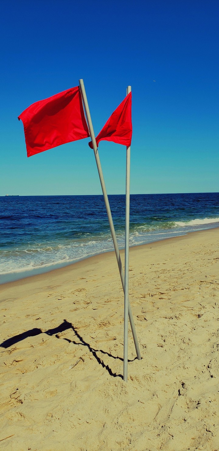 The Flags