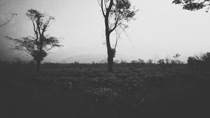At dusk
