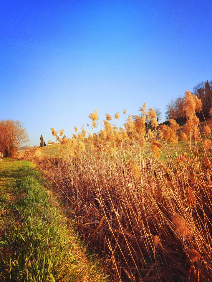 Countryside