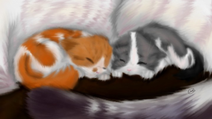 Cute kittens