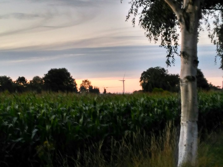 German Sunset