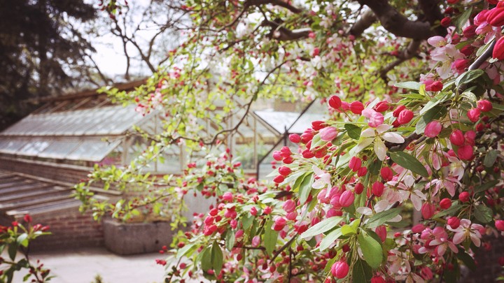 Vintage spring