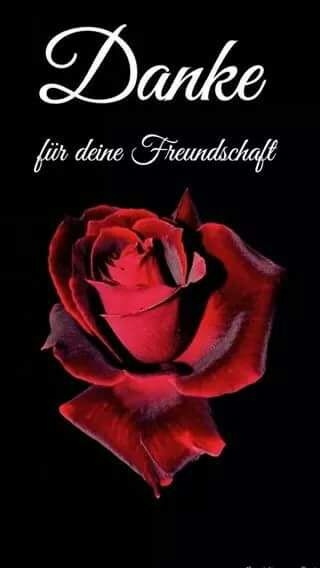 Freundschaft