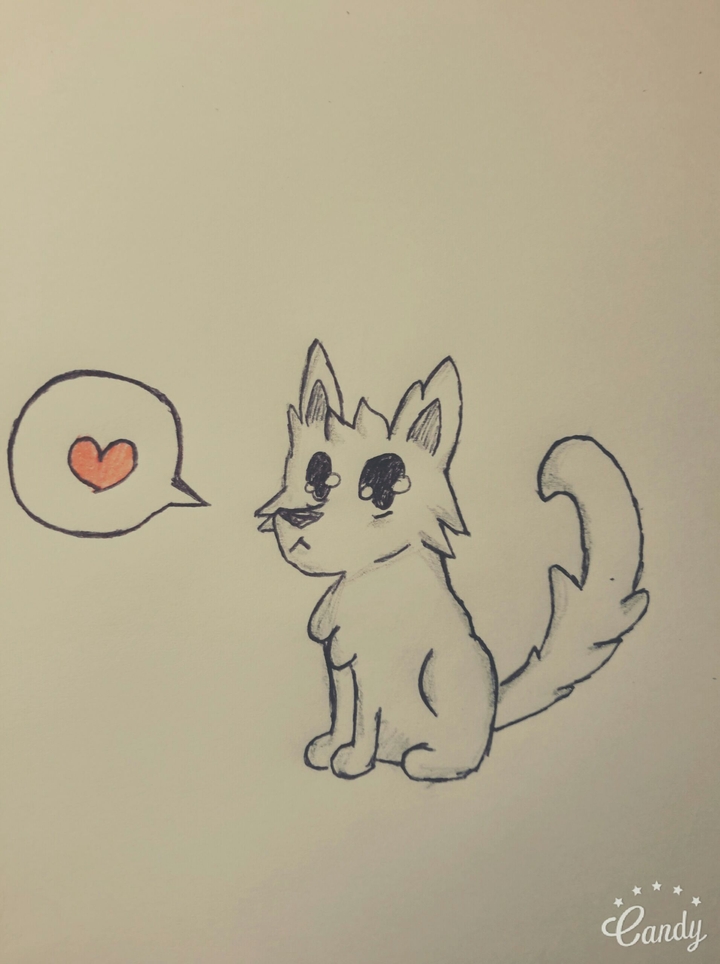 dog_2 wow :3