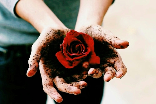 for u ❤