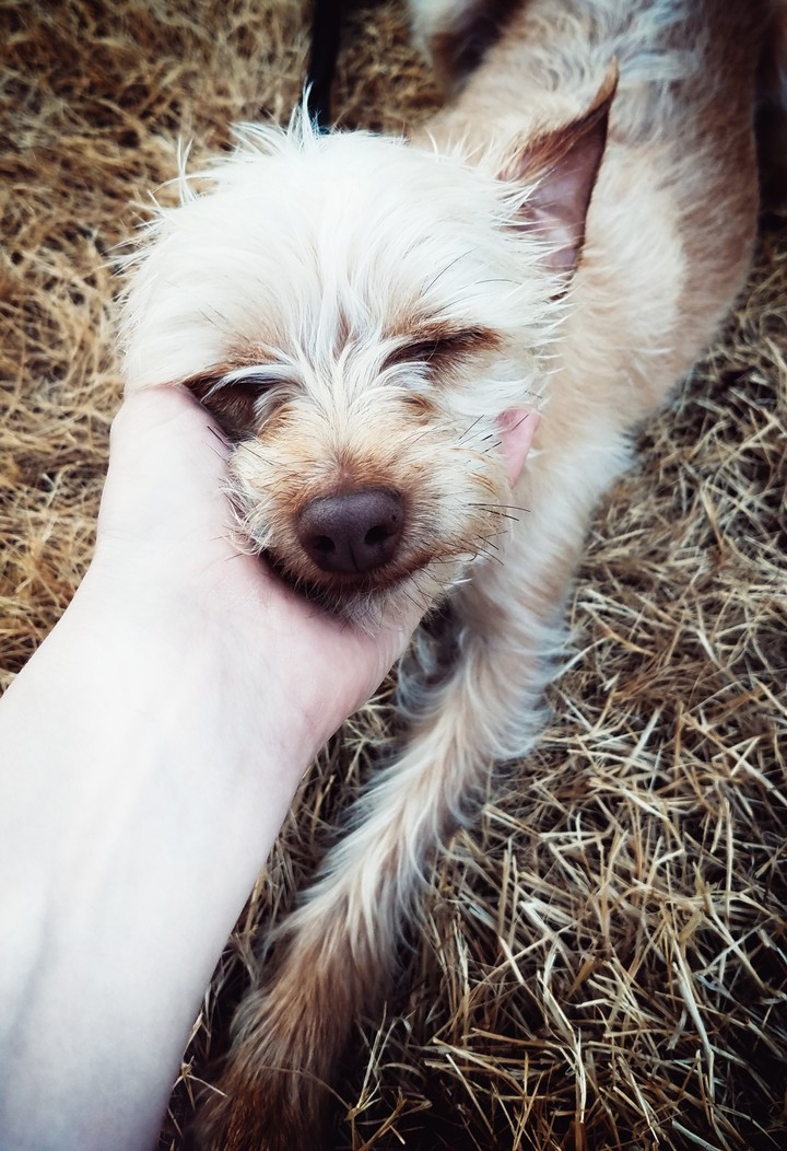 Bobby